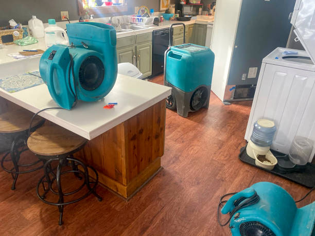 Best Fire Damage Restoration  in Destrehan, LA