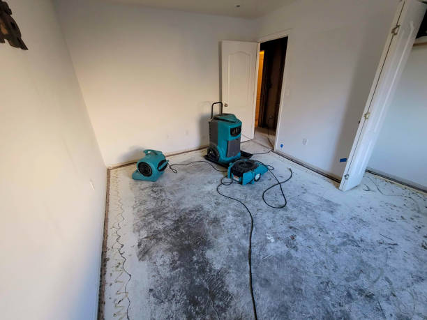 Best Basement water damage restoration  in Destrehan, LA
