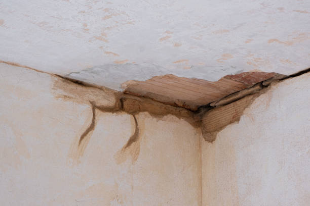 Best Residential water damage restoration  in Destrehan, LA