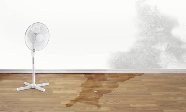 Best Water damage cleanup near me  in Destrehan, LA