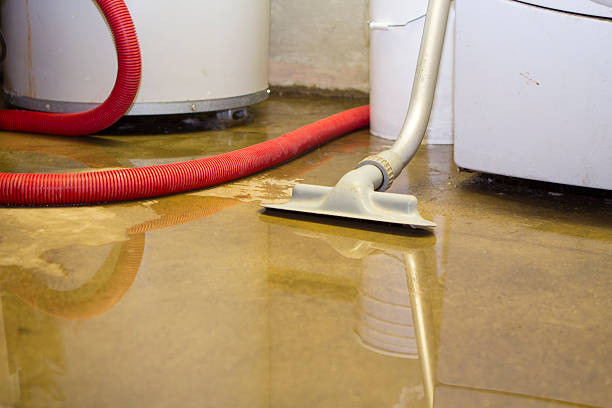 Best Professional water damage repair  in Destrehan, LA