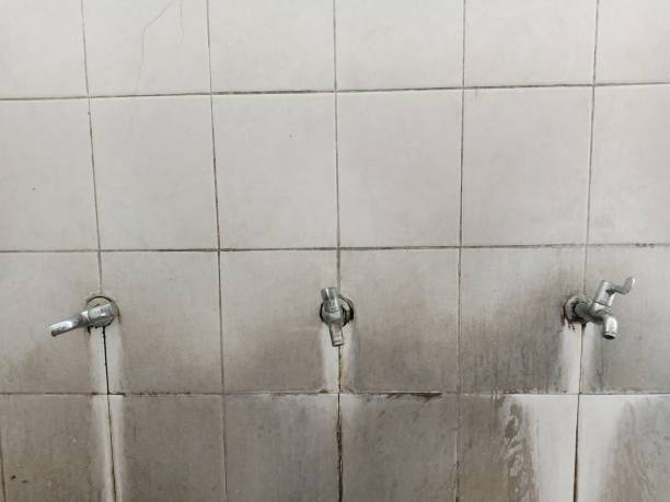Best Commercial water damage restoration  in Destrehan, LA