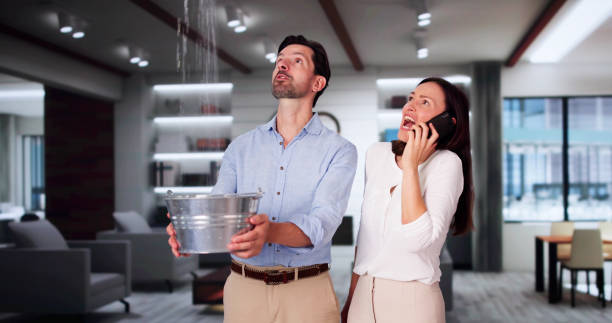 Best Ceiling water damage repair  in Destrehan, LA