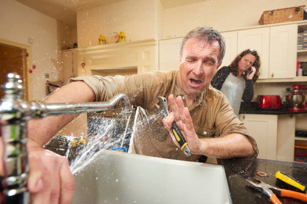 Best Mold removal after water damage  in Destrehan, LA